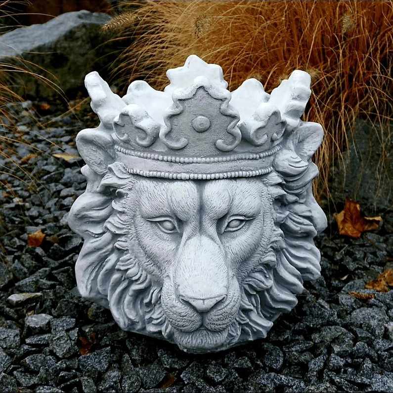 Donica Lew w Koronie