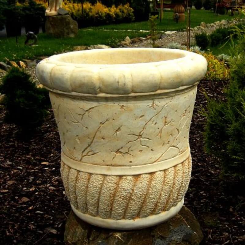 Donica Stożkowa Duża